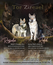 letak_Roza_Raff_final